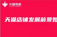 天貓國際代運(yùn)營_收費（天貓代運(yùn)營一般怎么收費）